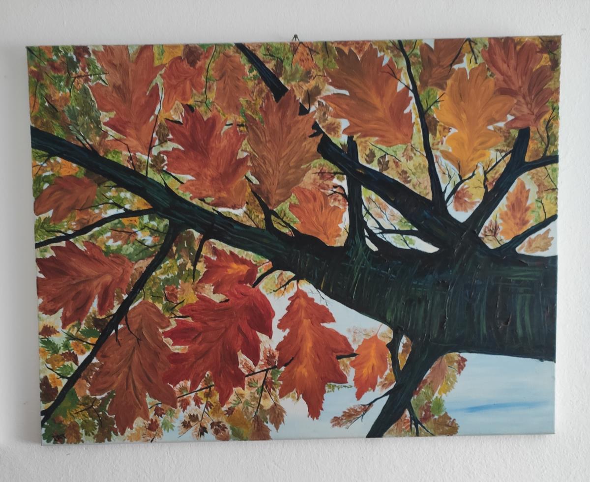 I colori della terra